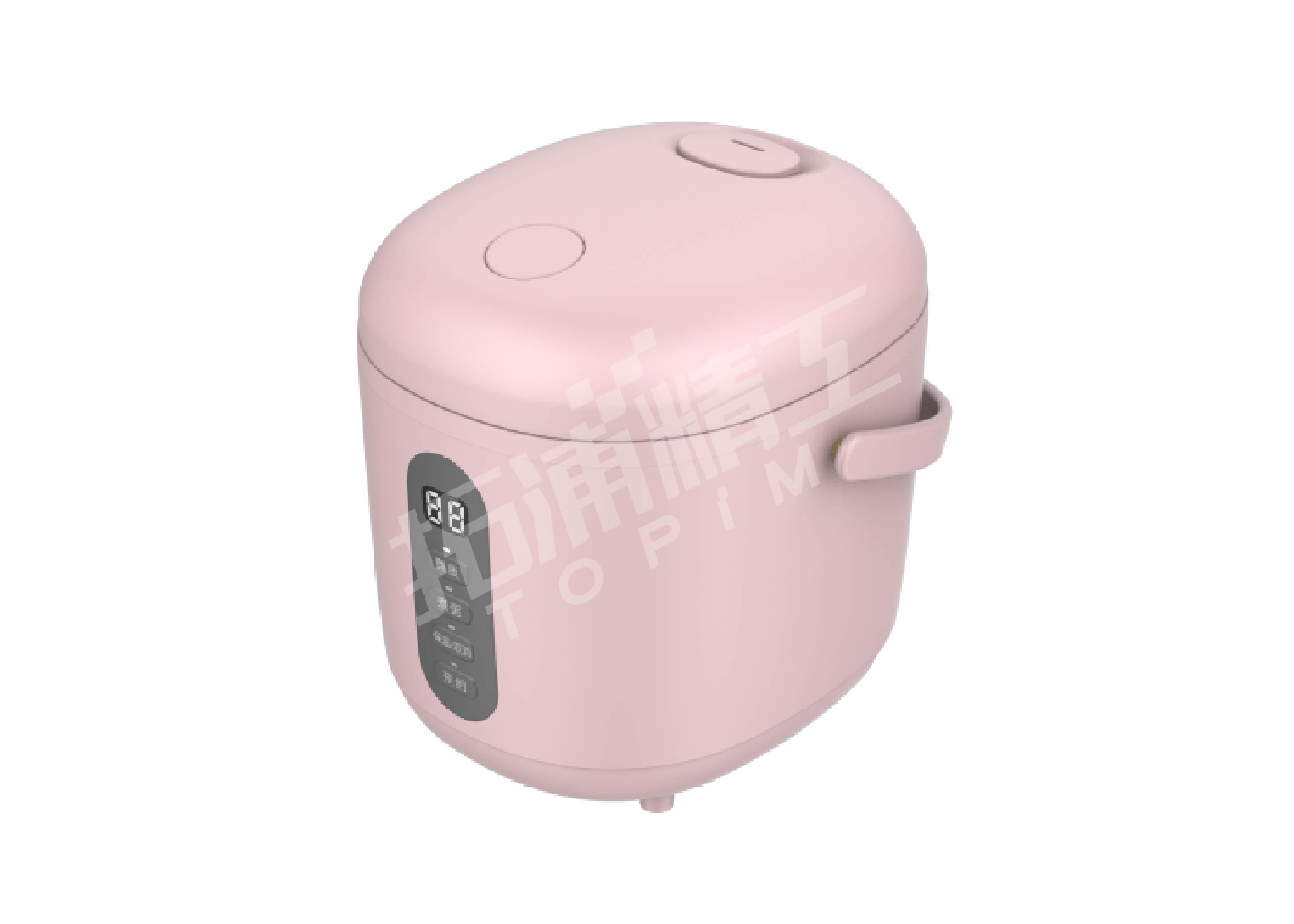 Mini rice cooker